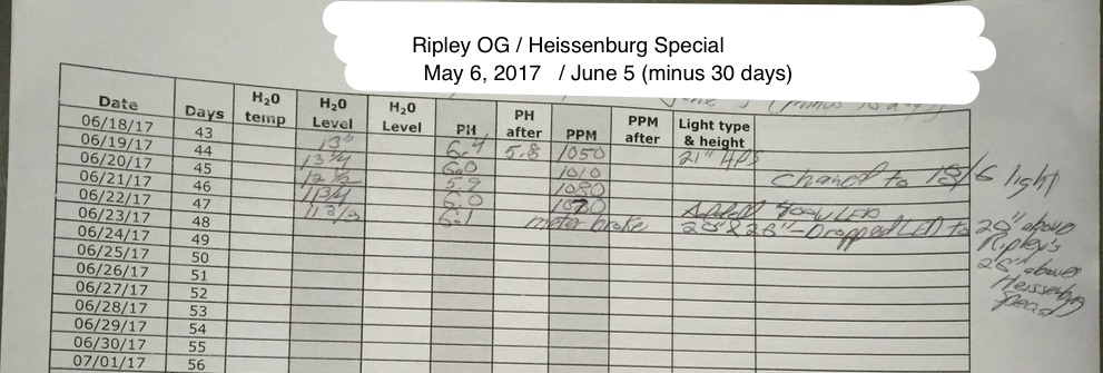 Riplies OG 2017-5-06 journal page 2 as of june 22.jpg