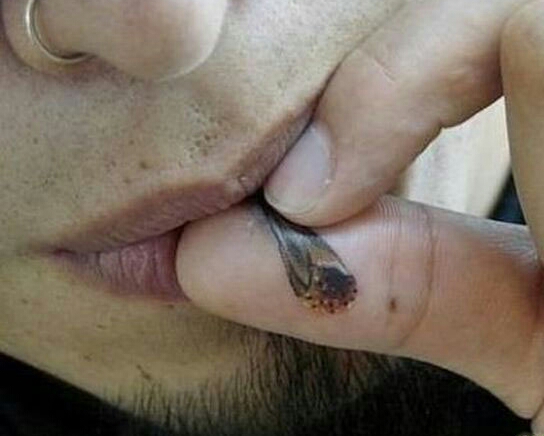 roach-tattoo-1.jpg