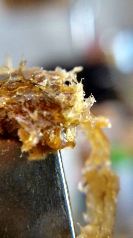 rosin5.jpg