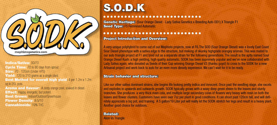 S.O.D.K info.png