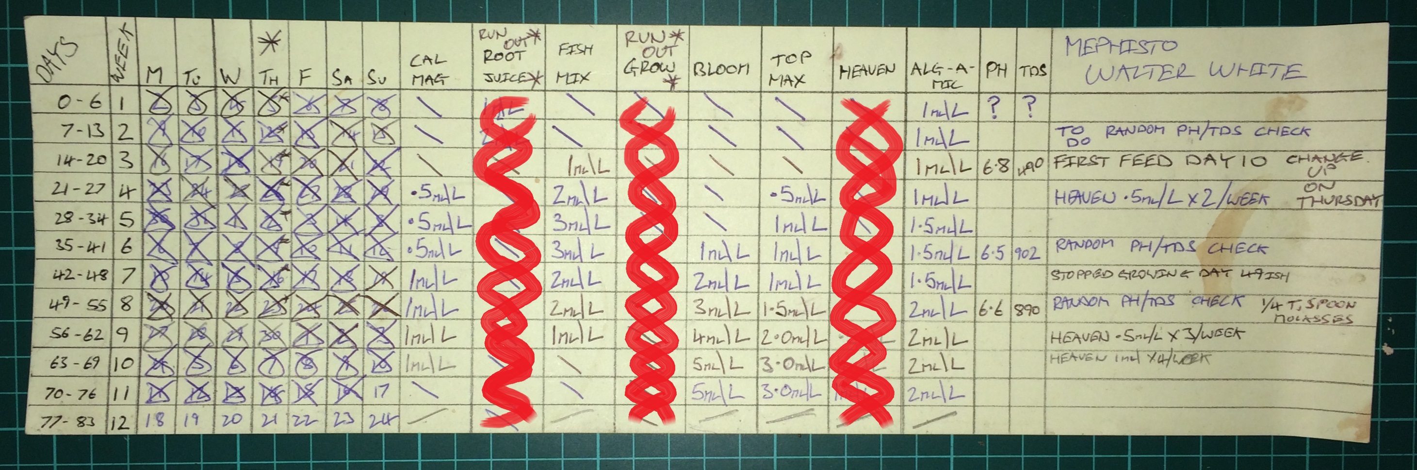 schedule walter day 75 - Copy (3).JPG