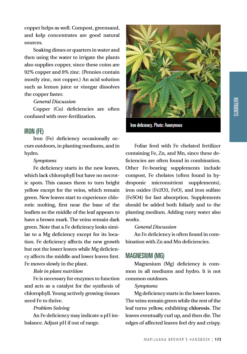 Screenshot 2021-08-06 at 10-03-23 Ed Rosenthal’s Marijuana Grower’s Handbook - Rosenthal, Ed -...png