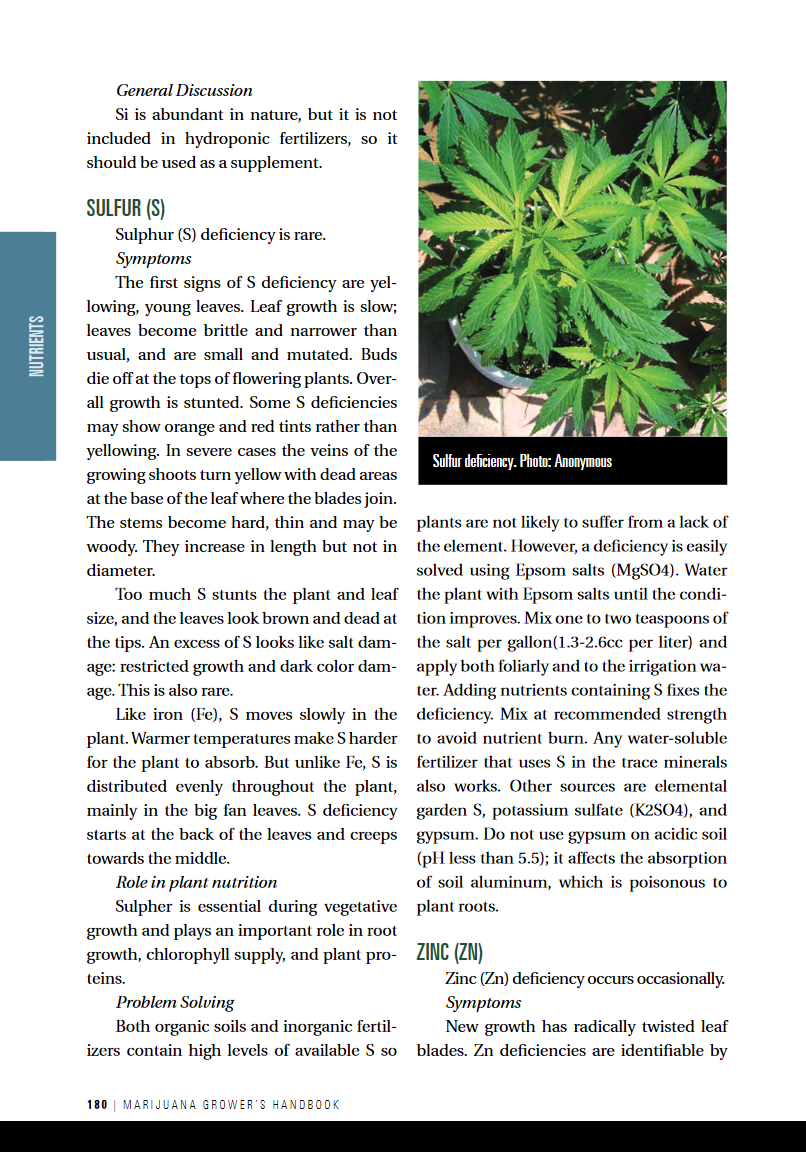 Screenshot 2021-08-06 at 10-03-41 Ed Rosenthal’s Marijuana Grower’s Handbook - Rosenthal, Ed -...png