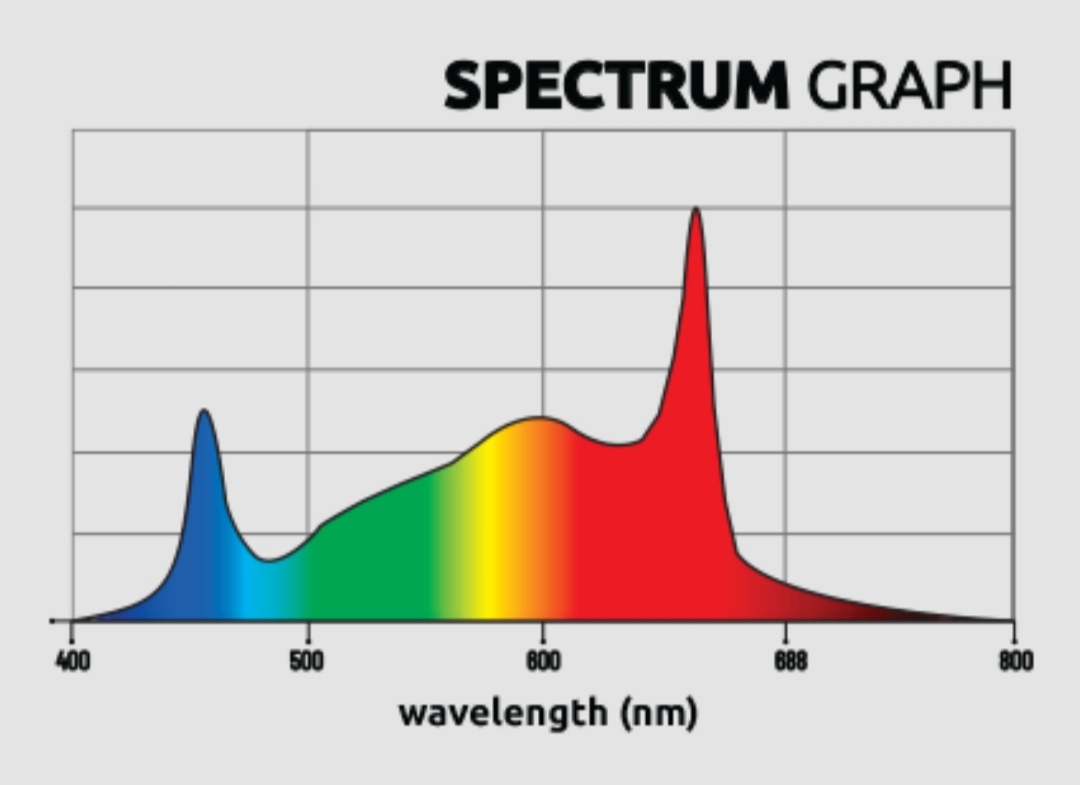 ZEUS1000WXTREMECO2-Graphs.png