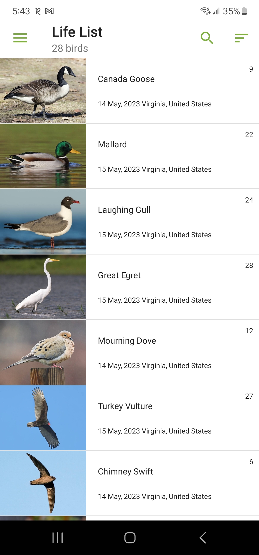 Screenshot_20230515_174311_Merlin Bird ID.jpg