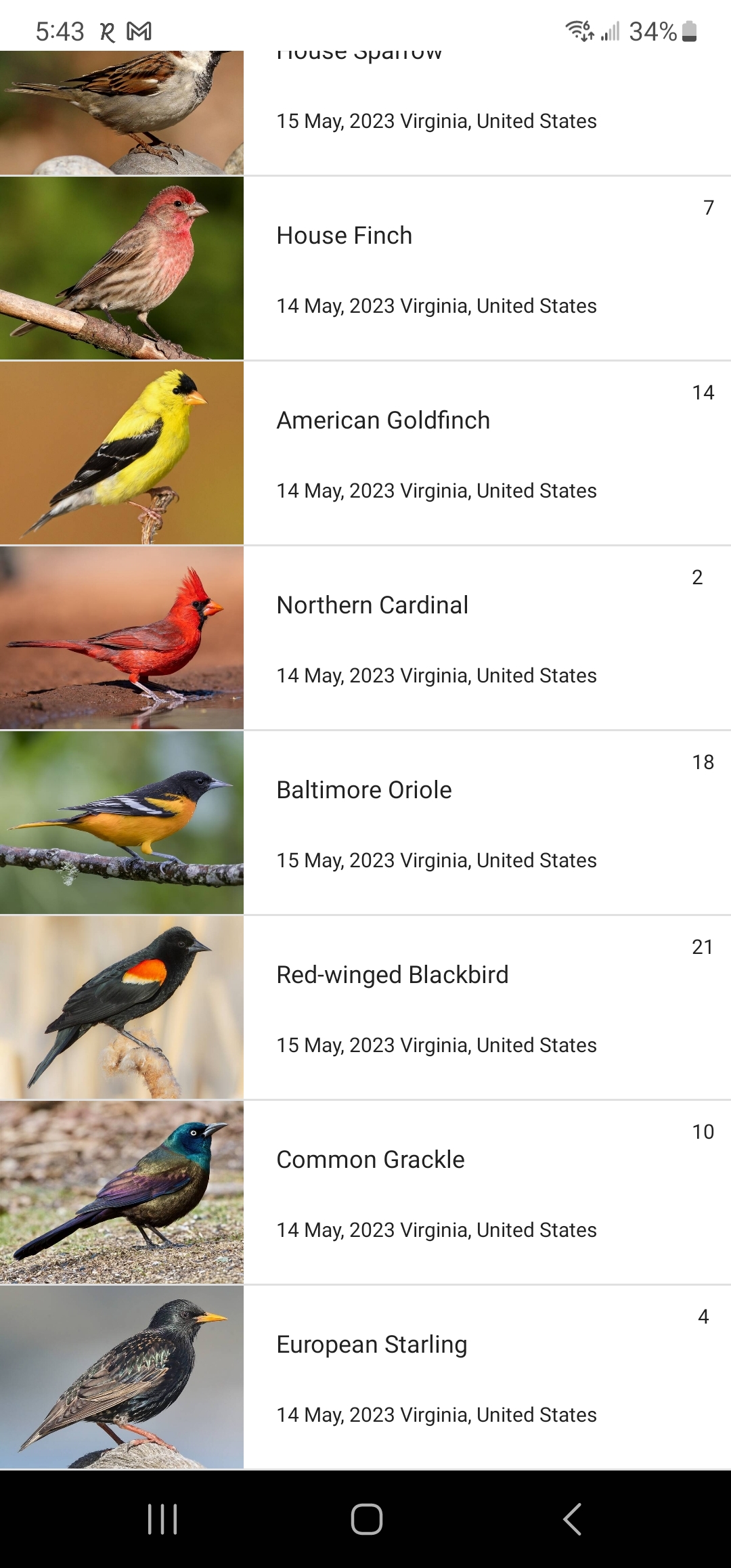 Screenshot_20230515_174332_Merlin Bird ID.jpg