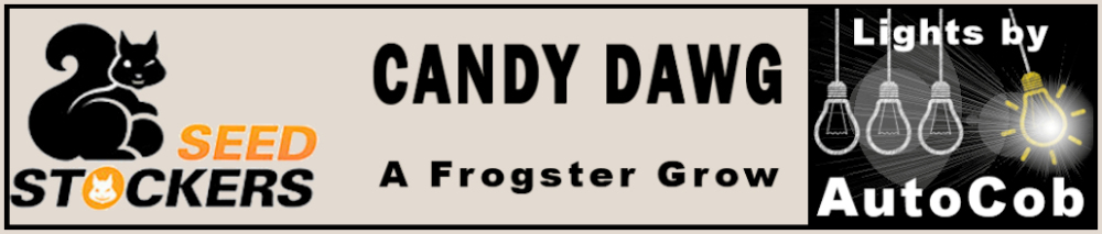 Seed Stockers Candy Dawg Cob Logo.jpg