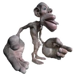 sensory homunculus.jpg