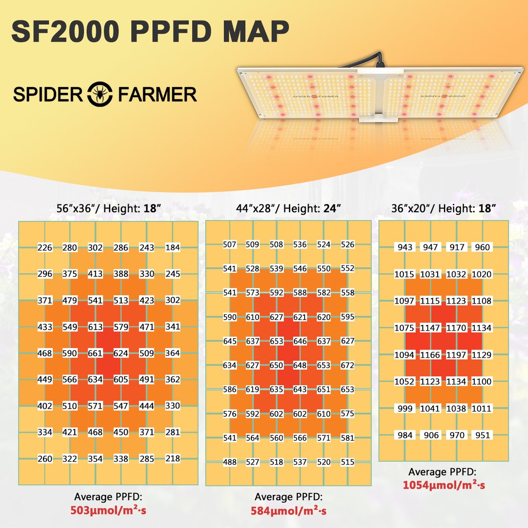 SF-2000LED_1_1080x.jpg