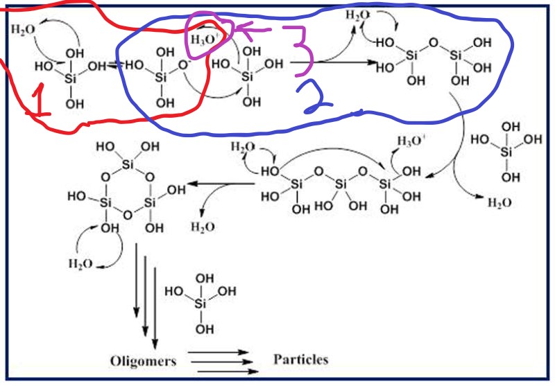 Silica polyimerization reaction.jpg