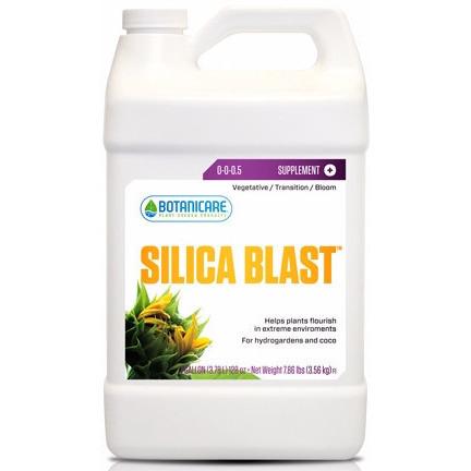 SilicaBlastgal_large.jpg