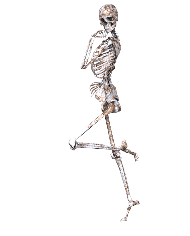 skeleton-1940269_1280.png