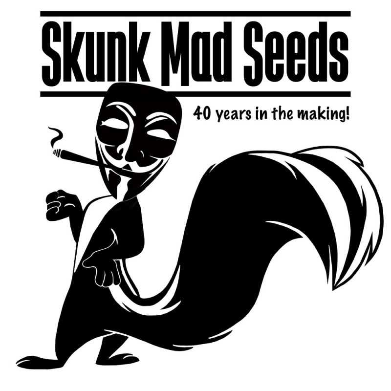 Skunk Mad smoking with joint.jpg