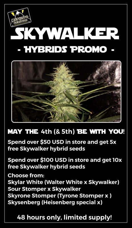 skywalker promo web.jpg