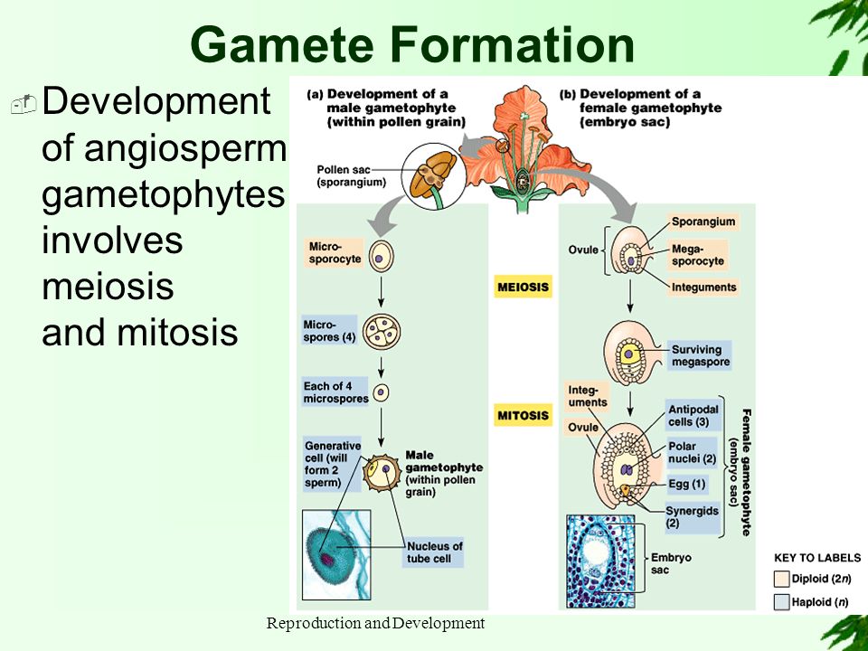 slide_13.jpg