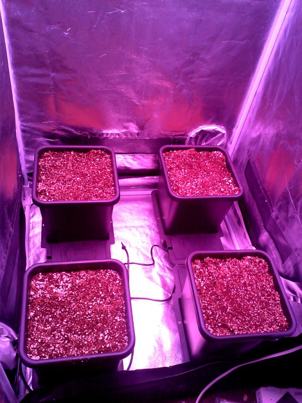 small grow tent -2-6-2016.jpg