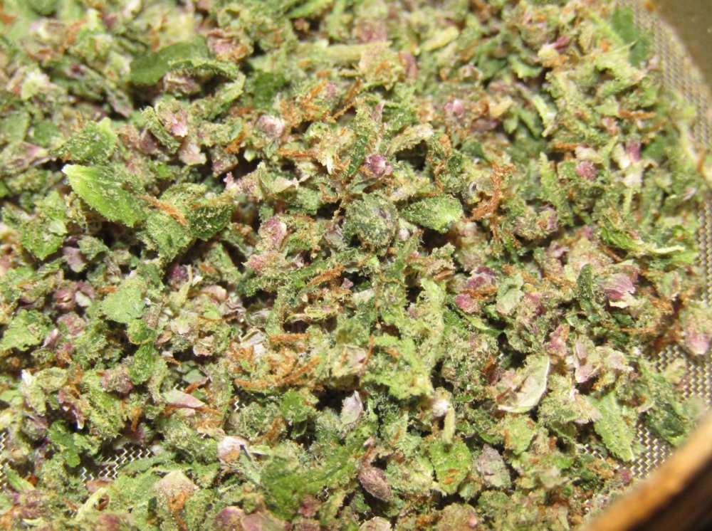 small pot abbk in grinder.JPG