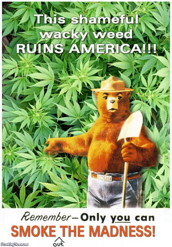 Smokey-the-Bear-and-a-Marijuana-Crop-31147.jpg