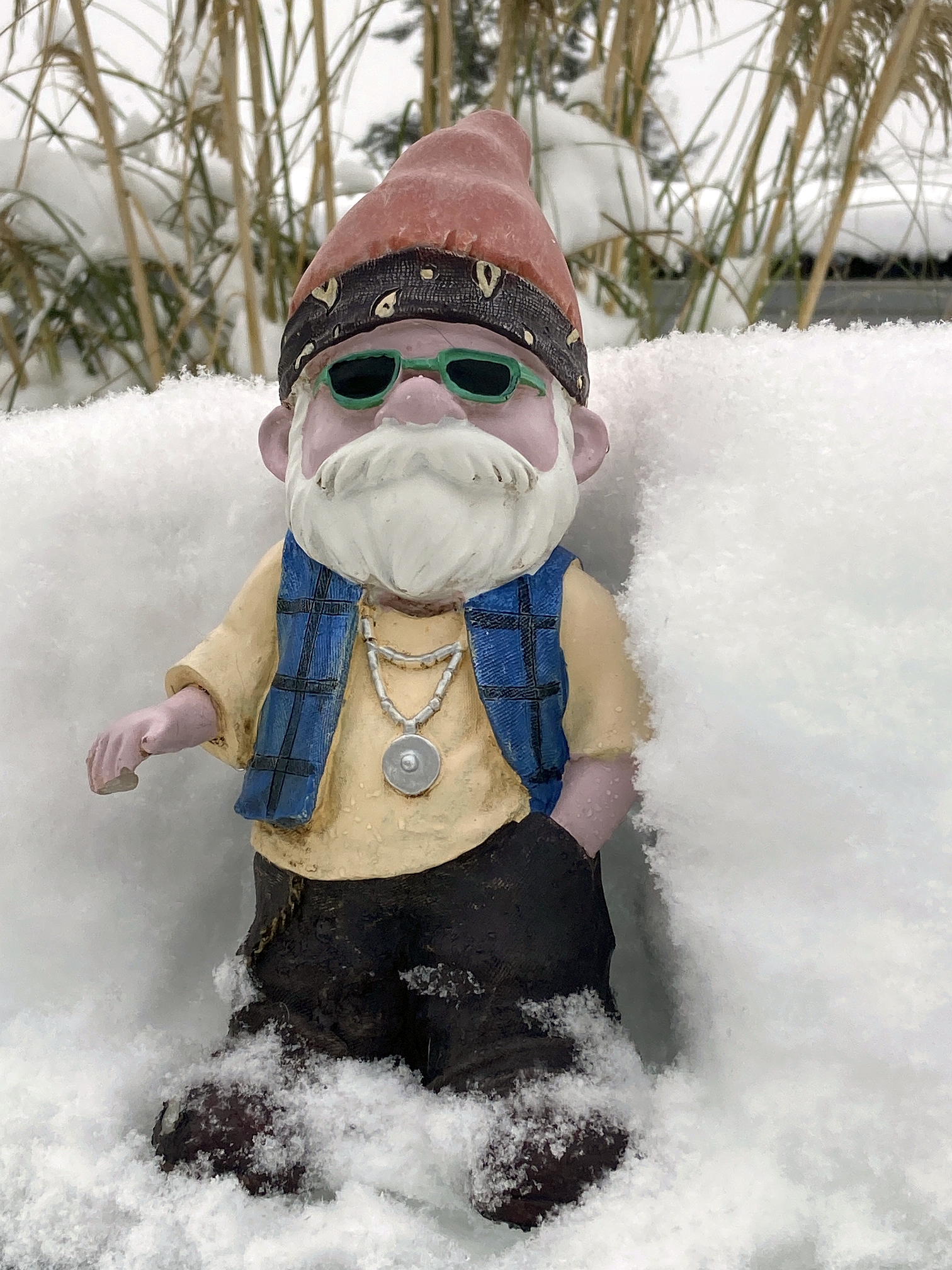 snow gnome.jpg