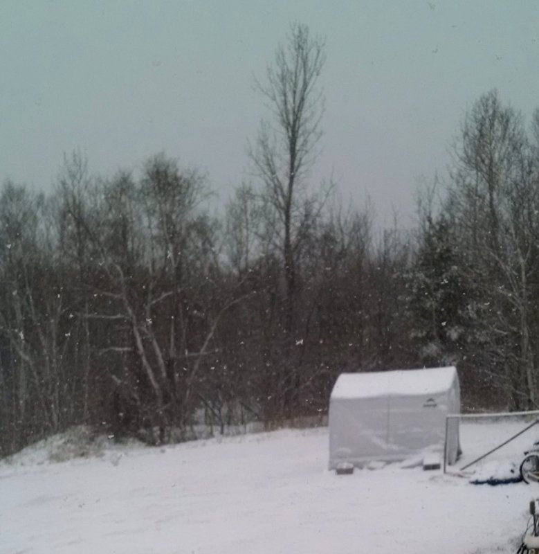 snow on greenhouse -4-26-2016.jpg