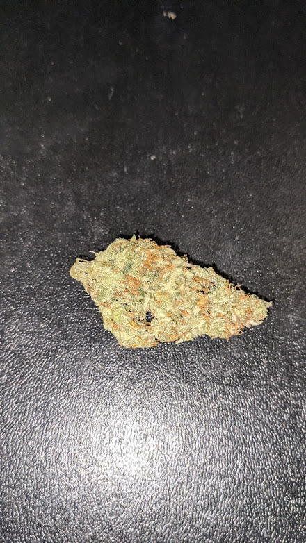 Sofem Orange BG bud.jpg