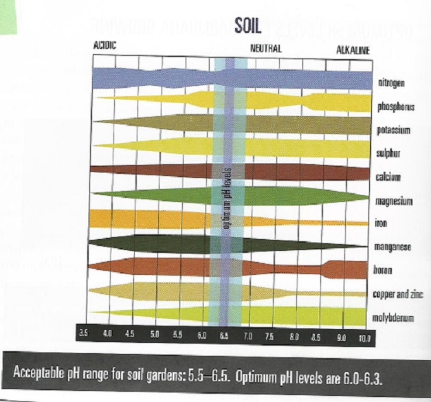 soil.jpg