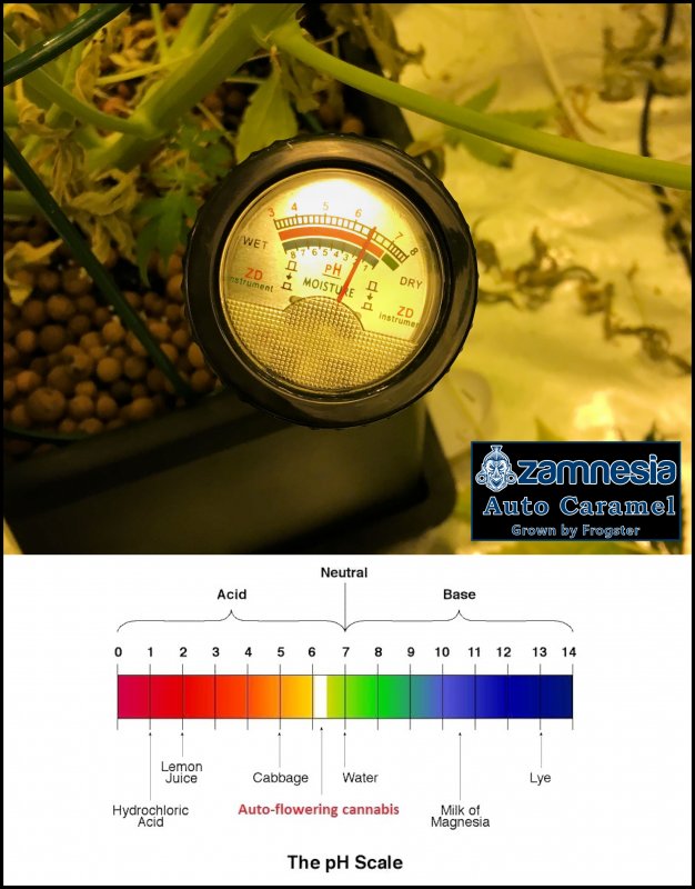 Soil PH.jpg