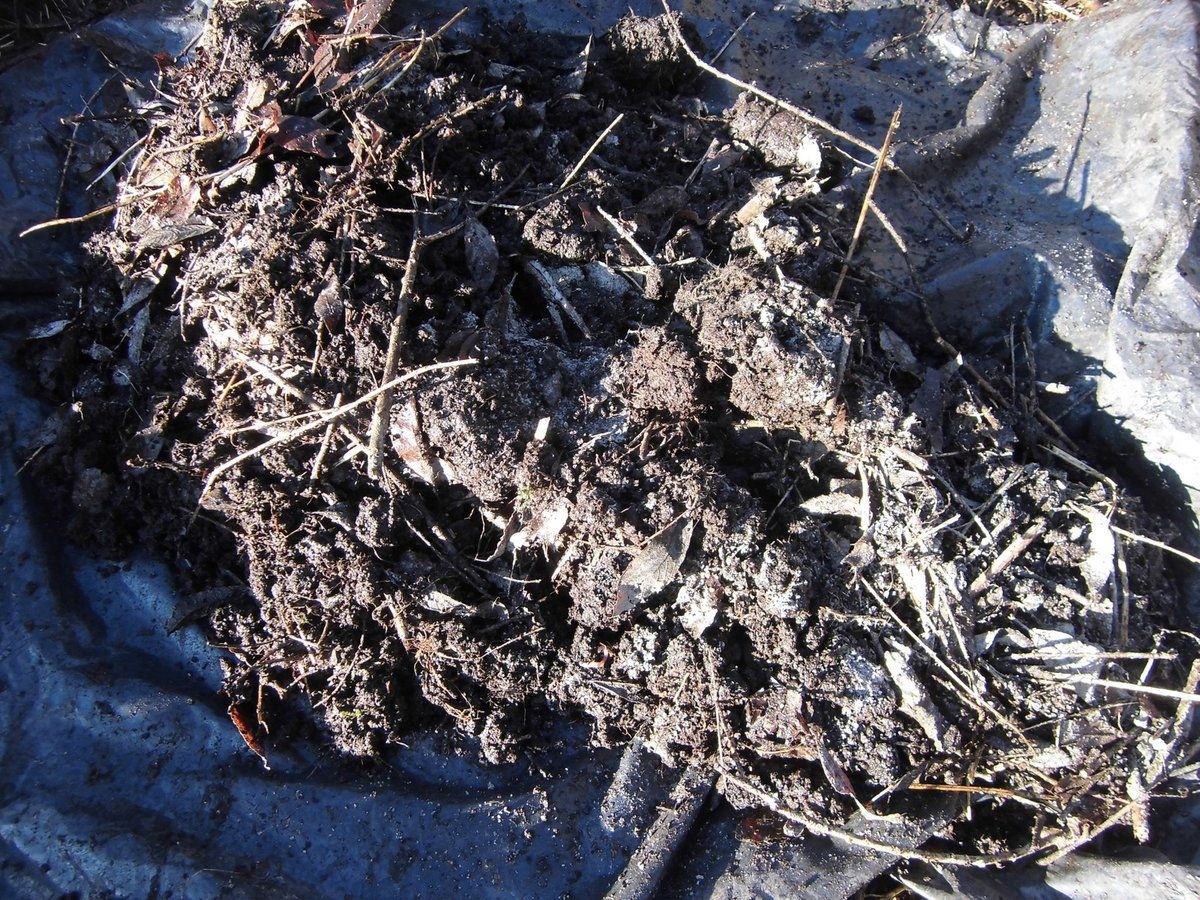 soilmix.JPG.e3c6fbe38d951259f3615517914c08e3.JPG