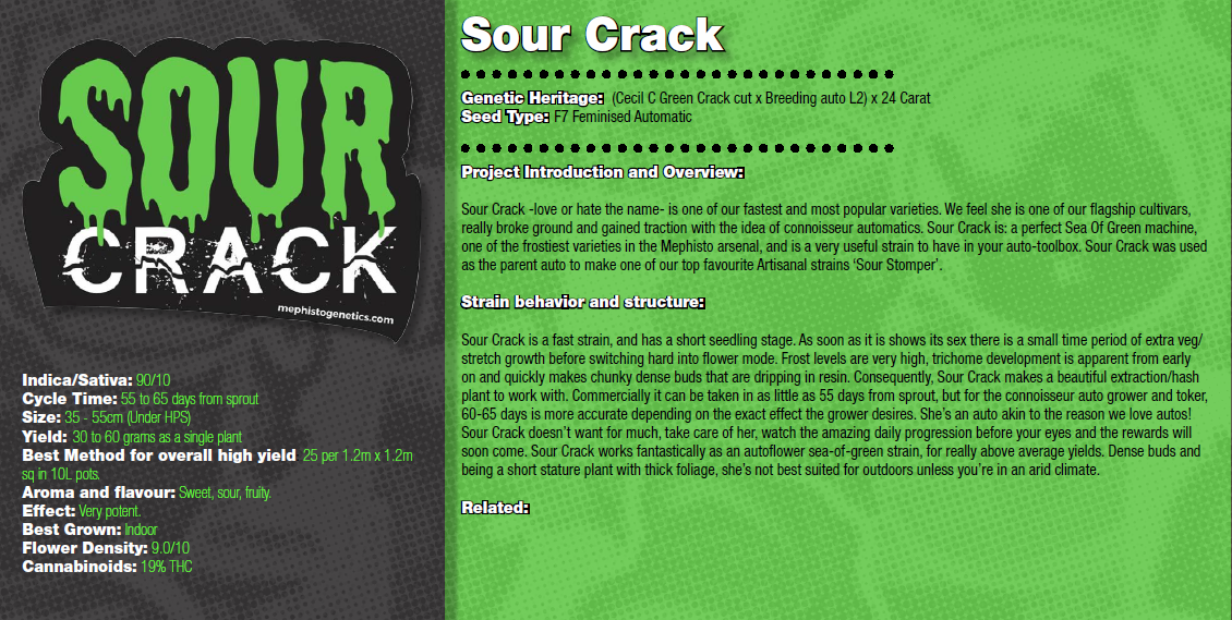 Sour Crack Info.png