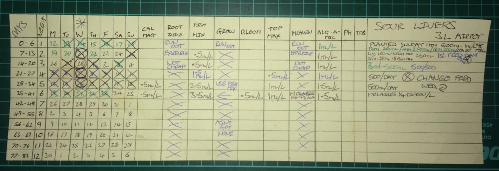 sour livers chart day 40.JPG