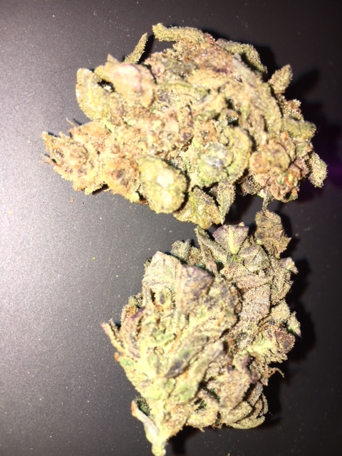 SourCrinkle Bud e.JPG