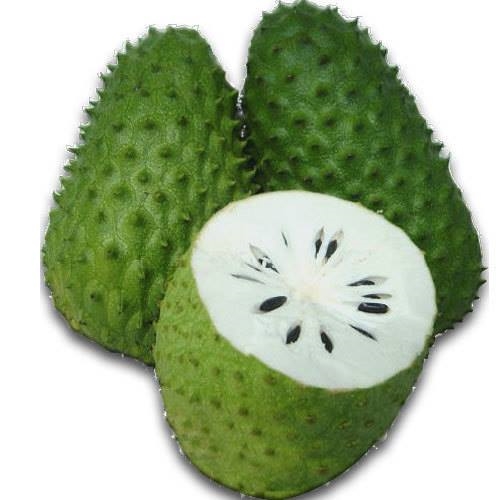 soursop.jpg