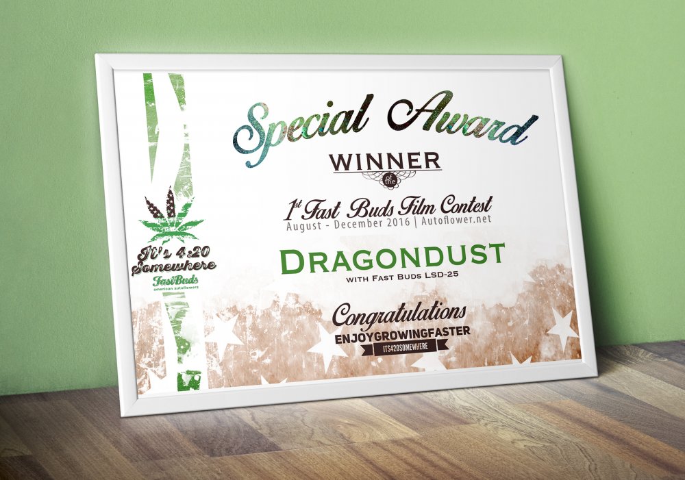 Special-Dragondust-Web-Filmcontest.jpg