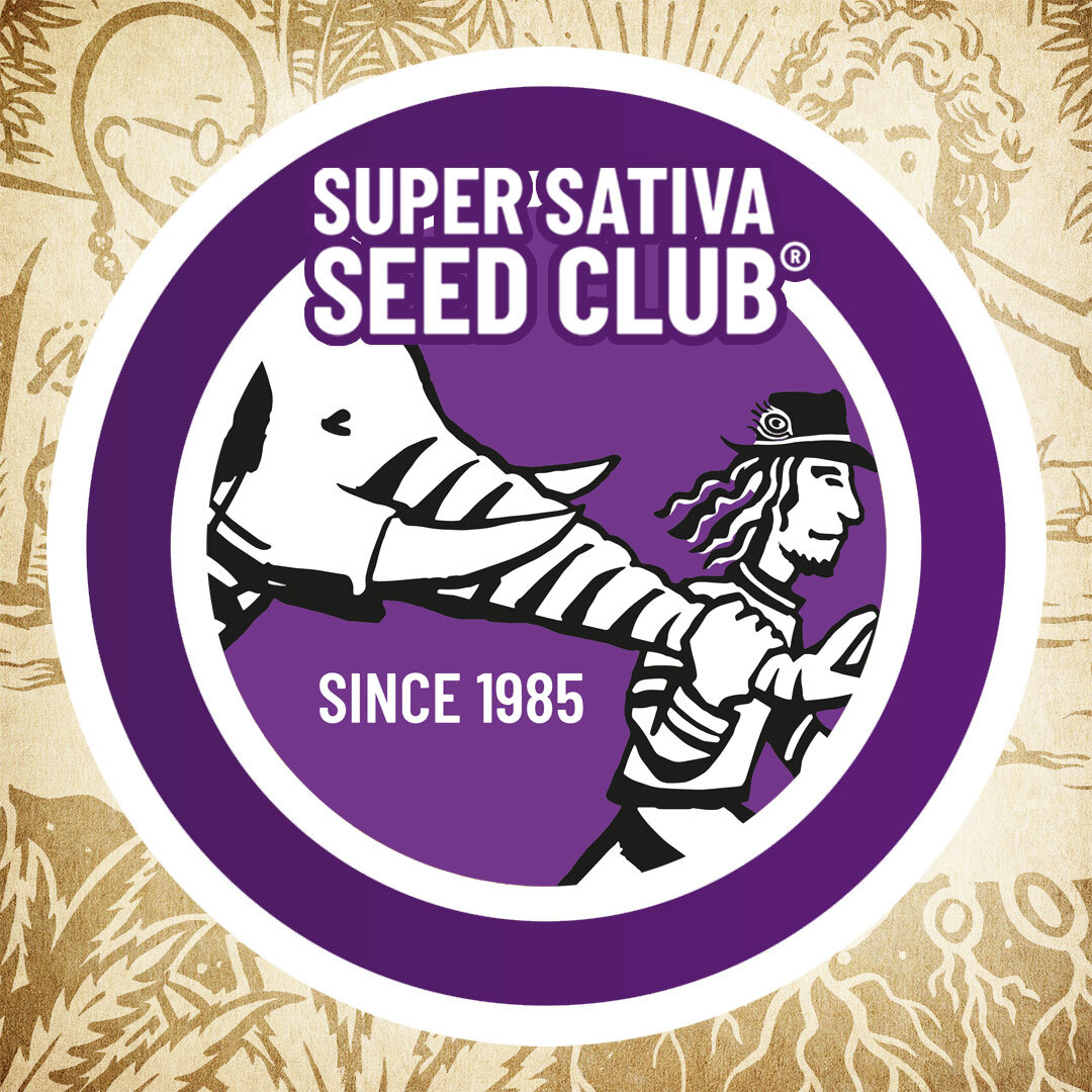 SSSC-logo.jpg