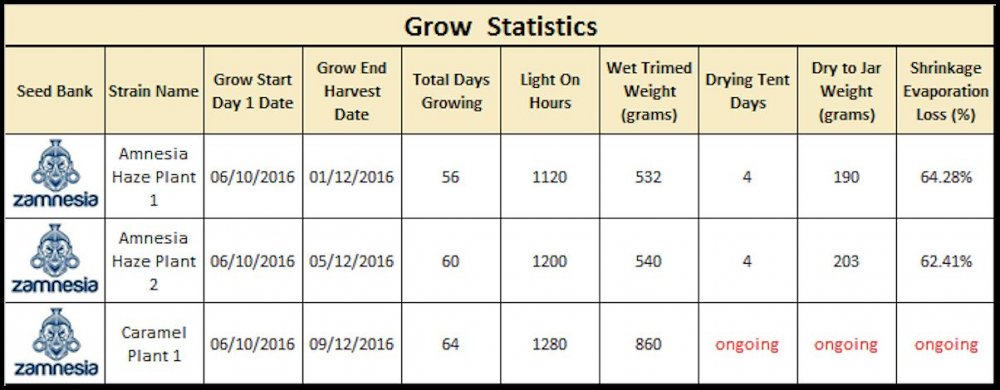 Statistics.jpg