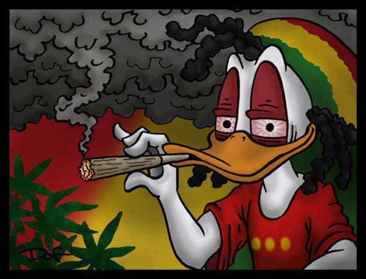 stoned duck.jpg