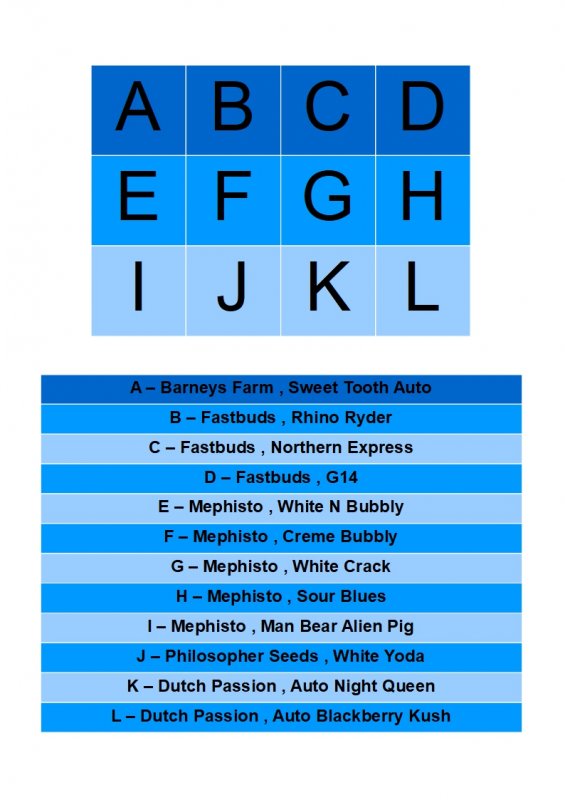 Strains2.jpg