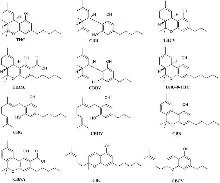 Structure-of-Cannabinoids-Archetypal-of-Their-Structural-Families.png