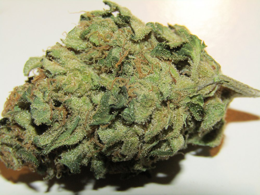 SuperSkunk-cured-#2.jpg