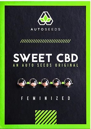 Sweet-CBD-12.jpg