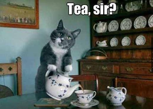 tea-sir-funny-meme.jpg