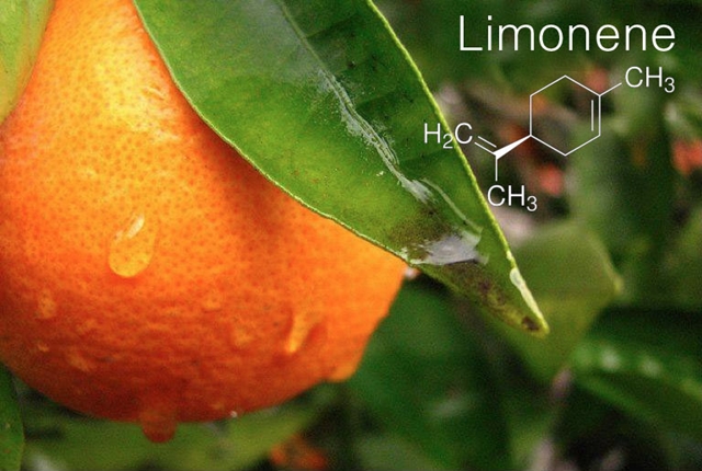 Terpene-Profile-Limonene-The-Leaf-Online2.jpg