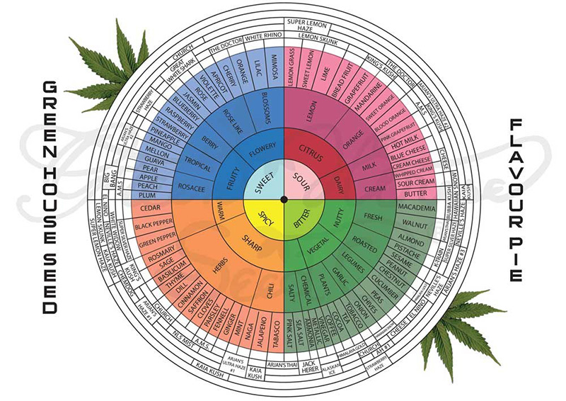 terpenes-chart.jpg