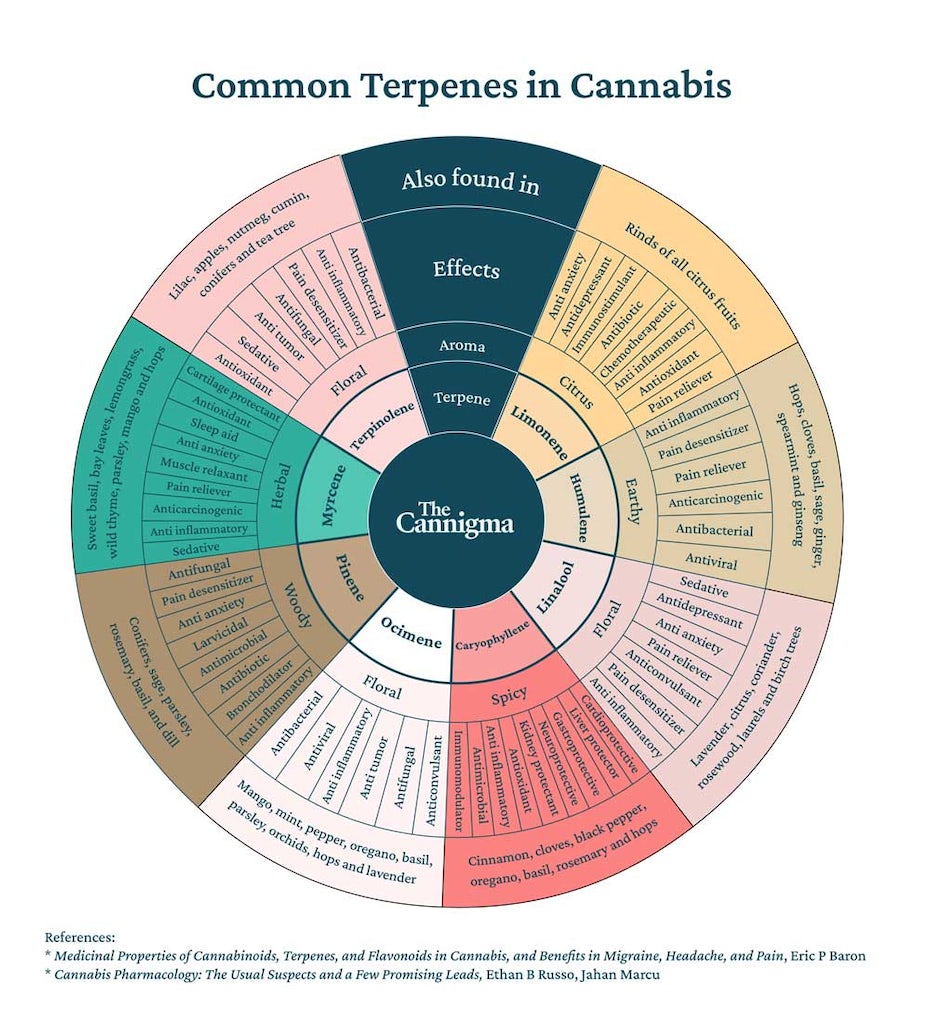 Terpenes-graphic-wheel.jpg