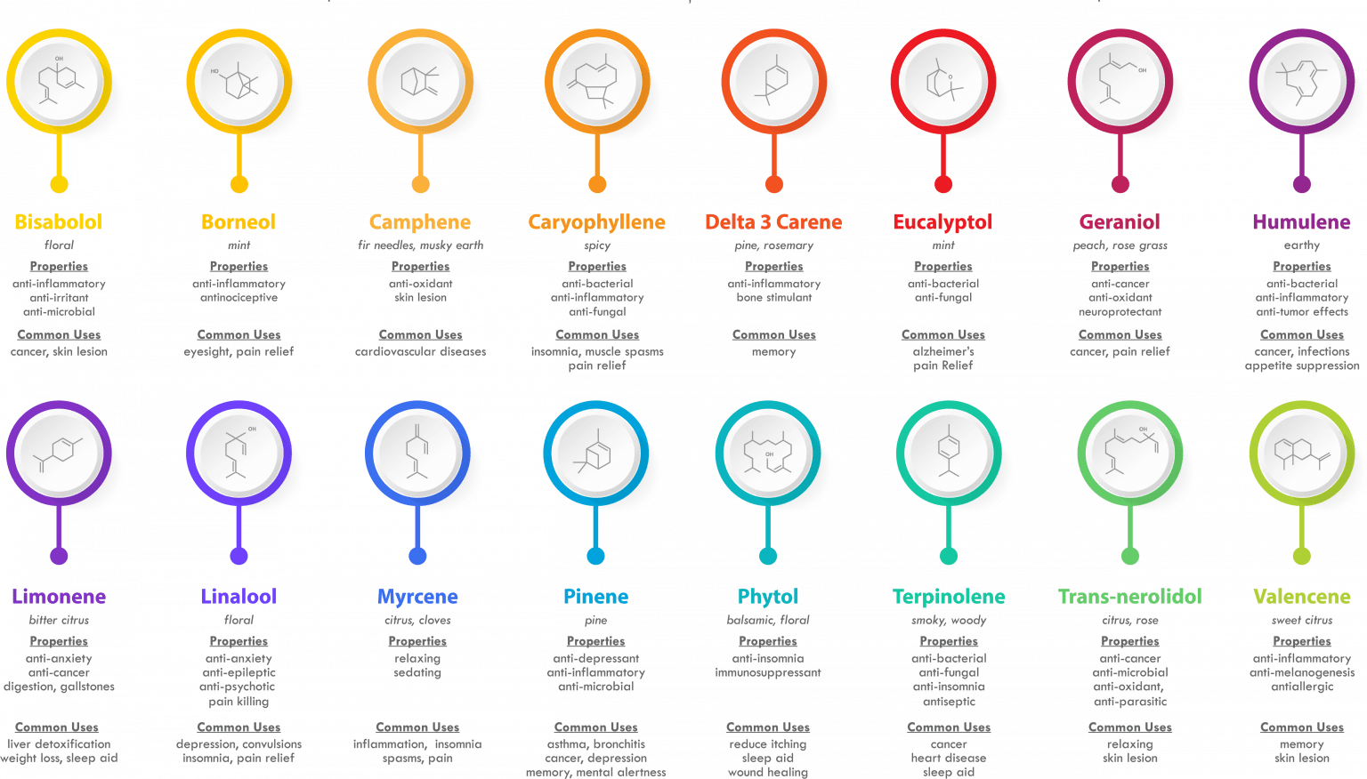 Terpenes-in-Hemp-1536x876.png