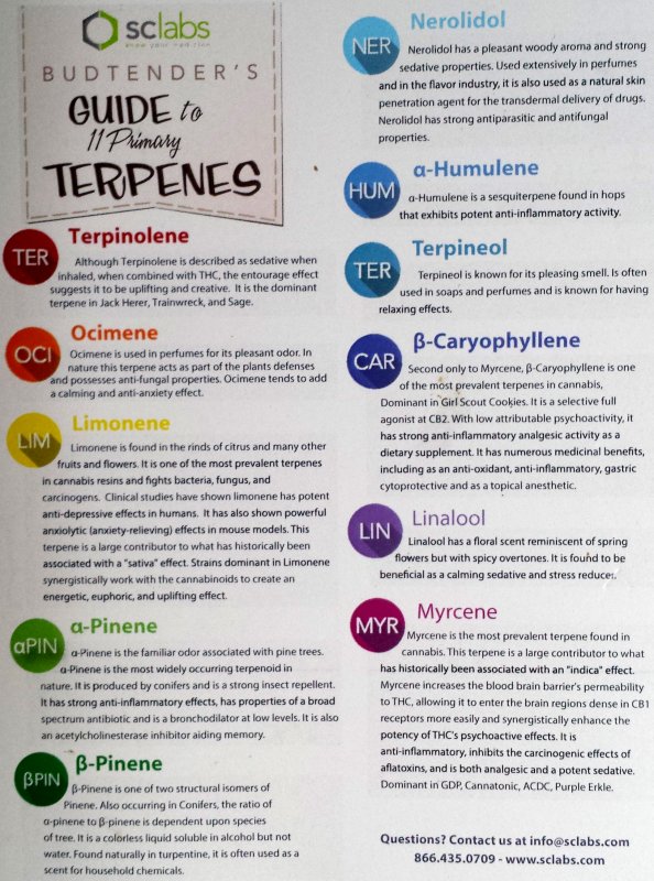 terpenes_list.jpg