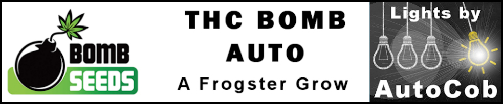 THC Bomb Auto Cob Logo.jpg