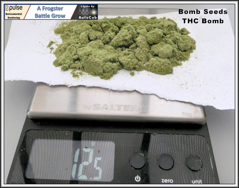 THC Bomb Final 2A.jpg