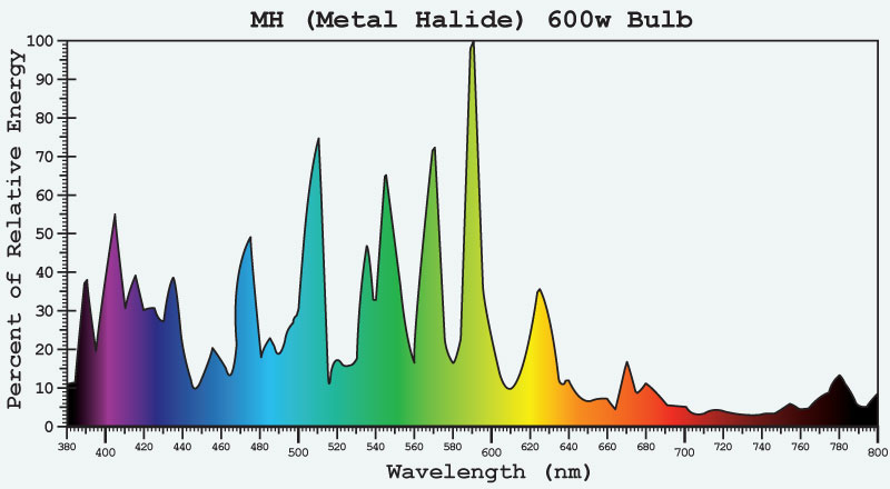 The Difference Between High Pressure Sodium and Metal Halide Bulbs_.jpg