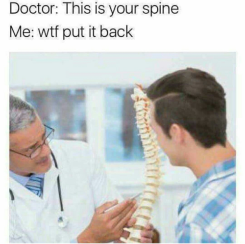 This-is-your-spine....png